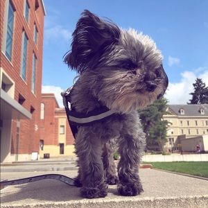 Meet your Posher, Madison